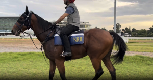 Read more about the article Blacklip Progresses to competitive fast work